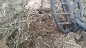 Металлоискатель GC1071 с ДД катушкой