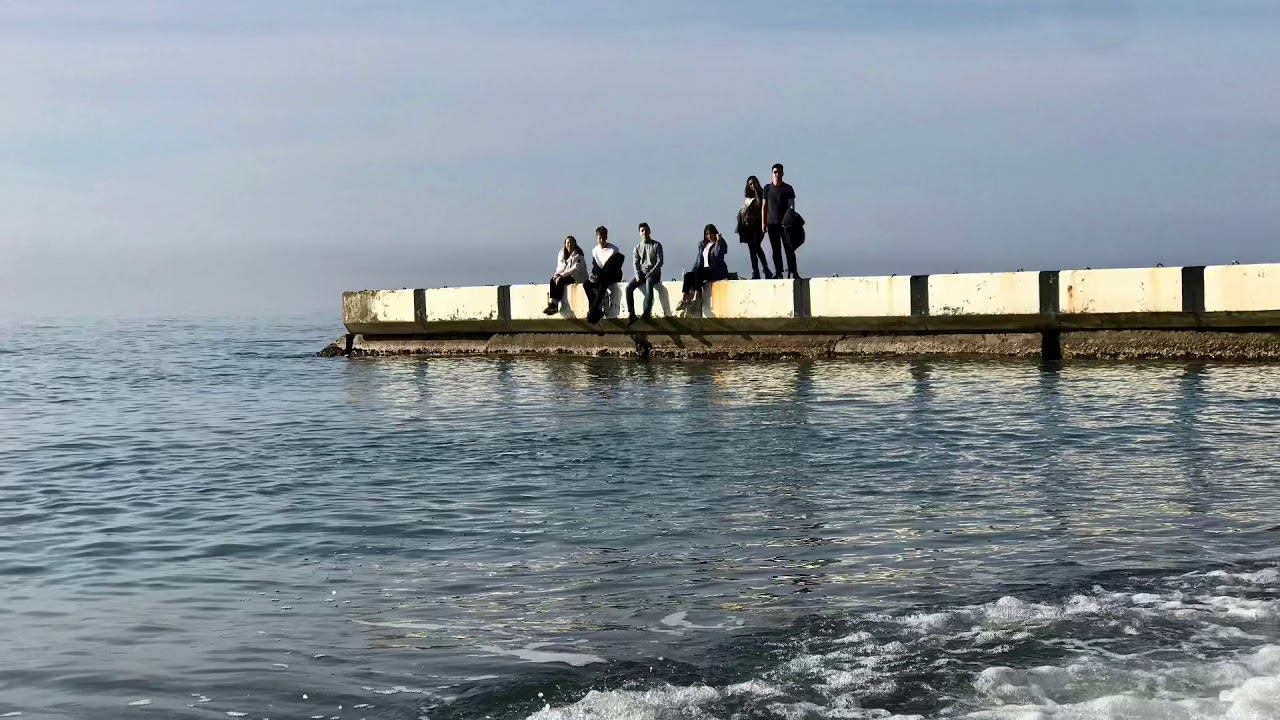 Зелёная роща смотреть онлайн