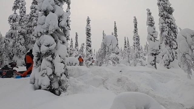 Кандалакша 2021 смотреть онлайн