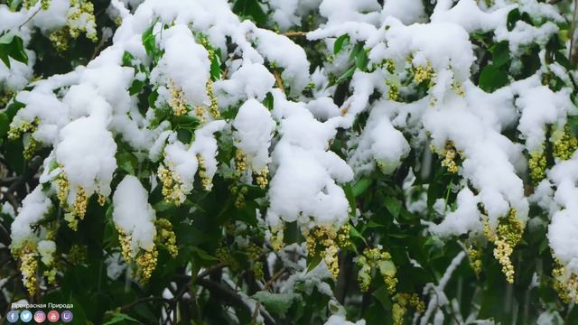 Божественная музыка трогает сердце! Одна из лучших песен о любви!Лучшая музыка Сергея Грищука#Музык смотреть онлайн