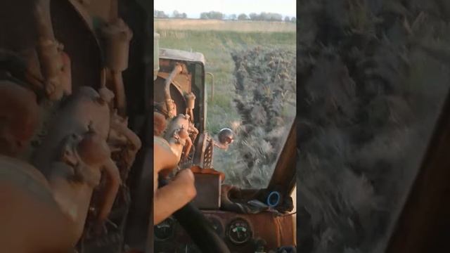Пахата рисовые чеки на глубину 15см для риса смотреть онлайн