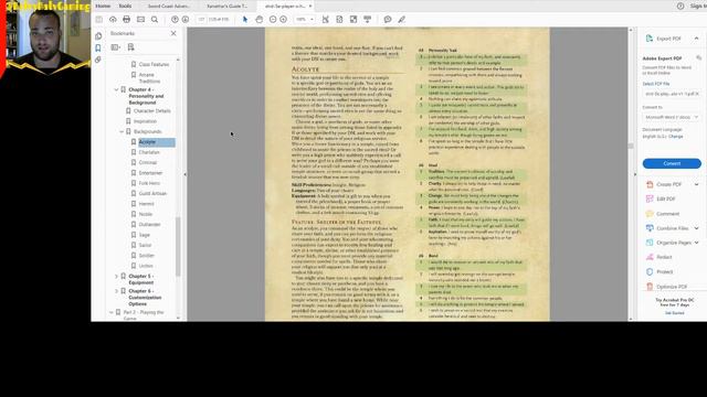 D&D Character Inspiration: Human Druid! смотреть онлайн
