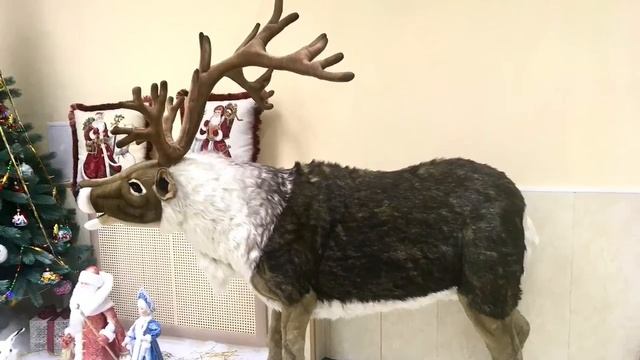 Новогодняя тема вокруг нас - город Киров. смотреть онлайн