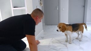 ШЕРЛОК НЕ ХОЧЕТ В БОЛЬНИЦУ. ПРОБЛЕМЫ СО ЗДОРОВЬЕМ. БРОС ШОУ ПЕТ