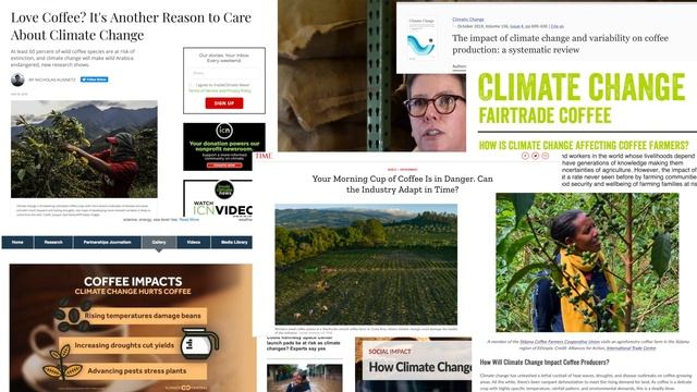 Peace Coffee - One Cool Coffee Co. смотреть онлайн