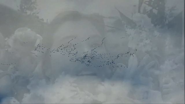 станица Благовещенская (Стихи:Людмила Ивановна Литтиг)(Читает:Литтиг Анастасия Юрьевна) смотреть онлайн