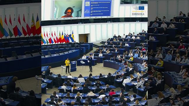 Euroscola with Vice-President Heidi Hautala | November 14 смотреть онлайн