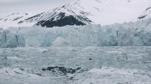 Людовико Эйнауди | Элегия для Арктики