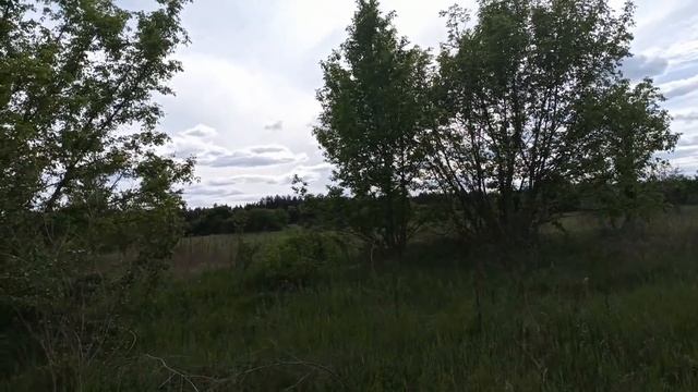 12 июня народный праздник ДЕНЬ СВЯТОГО ИСААКИЯ. ЗМЕИНЫЙ ПРАЗДНИК. народные приметы и поверья смотреть онлайн
