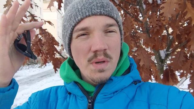 Дуб червоний. Quersis rubra смотреть онлайн