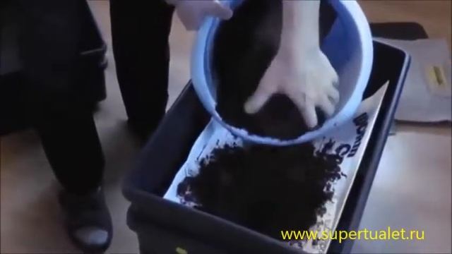 Установка WormCafe смотреть онлайн