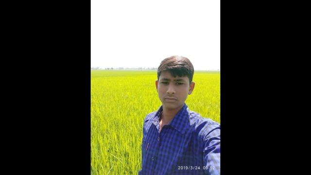 Redmi Note 7 Stock Camera vs Google Camera | Redmi Note 7 Gcam Vs Stock Camera | смотреть онлайн