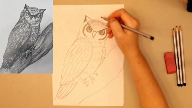 КАК НАРИСОВАТЬ СОВУ?Поэтапный урок рисования?️ смотреть онлайн