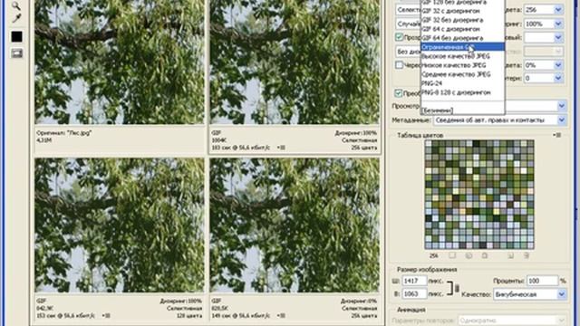 Сохранение и оптимизация для Web в Photoshop CS4 (44/45)