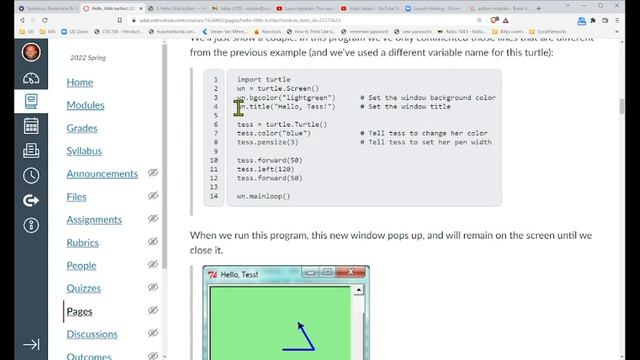 Python modules, methods, procedures and turtles! смотреть онлайн