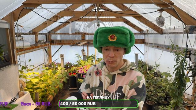 Стрим Из Тропического Вегетария Который Вы Так Ждали смотреть онлайн