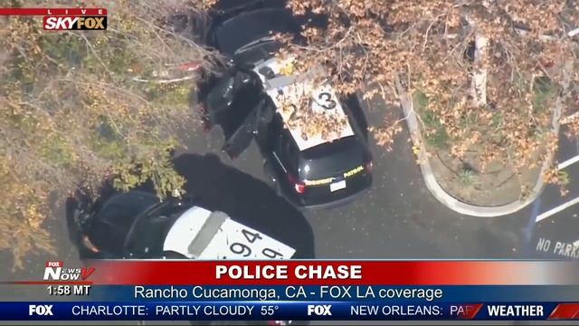 GOOD BOY: Police dog takes down suspect after long pursuit смотреть онлайн