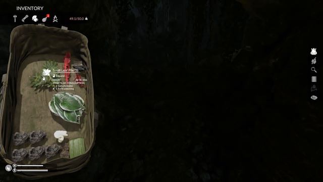 ANIMAL UPDATE!!! | Green Hell Gameplay | PC | Part 14 смотреть онлайн