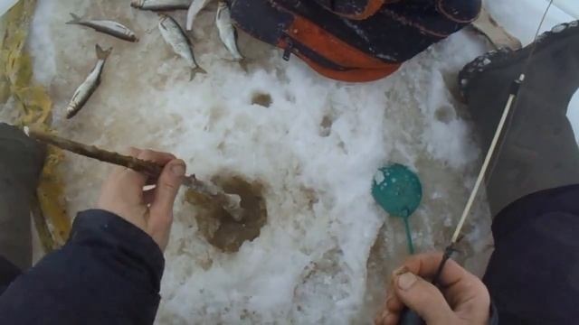 Сыпнув это в лунку на зимней рыбалке рыба отлично клюёт и ловится смотреть онлайн