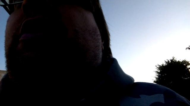 О СМЕРТИ "МОПСА ДЯДИ ПЁСА". смотреть онлайн