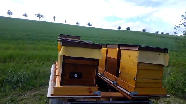 1. Mai 2020 Прицеп для перевозки пчёл и продажа моих ульев которые я делал зимой.