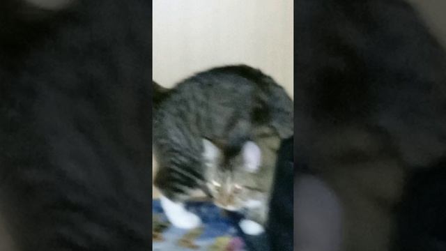 1000007656.mp4 смотреть онлайн