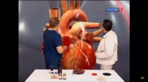 Что такое ресвератрол ( рассказывает Сергей Агапкин)