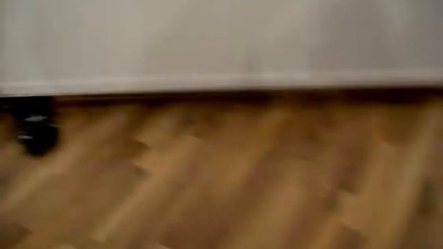 Beagles quest for candy. смотреть онлайн