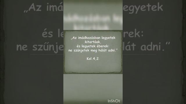 Friderika - Szent vagy смотреть онлайн
