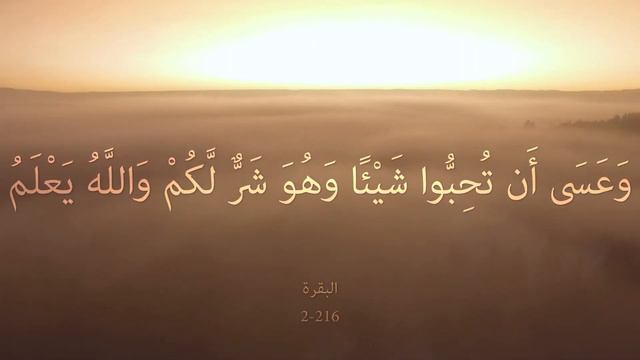 002_216 Al-Baqara "The Cow" البقرة смотреть онлайн