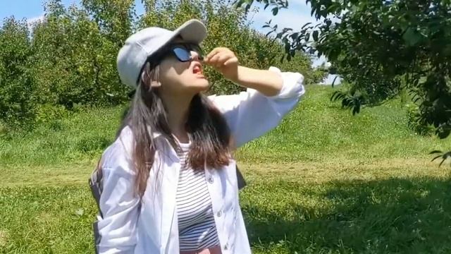 Cherry Picking 06/30/2022 смотреть онлайн