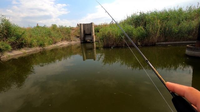 ОКУНЬ есть и окунь ЕСТ!!! Ловля окуня на МИКРОДЖИГ в жару!!! смотреть онлайн