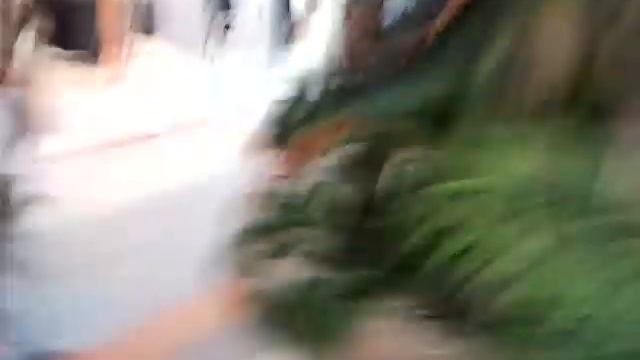 Ирка и Димка дуркуют Ейск- Москва 2 смотреть онлайн