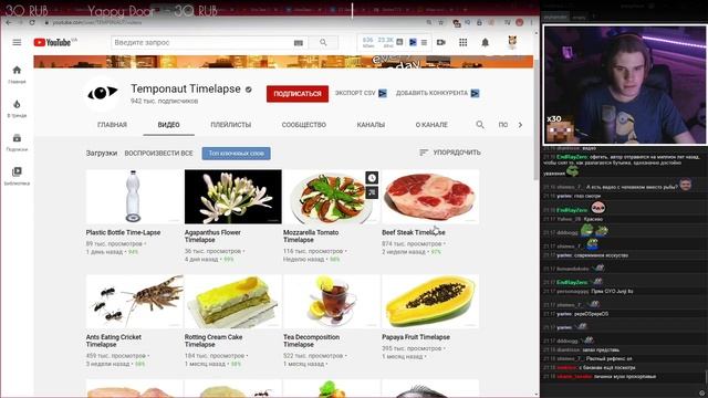 Хамстер смотрит: КАК ПОРТЯТСЯ ПРОДУКТЫ В В УСКОРЕННОЙ ПЕРЕМОТКЕ | AnyHamster - Реакция смотреть онлайн