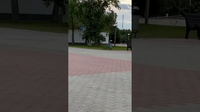 Globber master смотреть онлайн