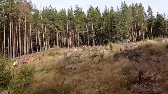 Orienteering | Ориентиране - ДП 20-21 щафети, старт на щафетите в мъже 21 елит смотреть онлайн
