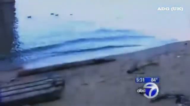 В Нью- Йорке нашли " чупакабру" смотреть онлайн