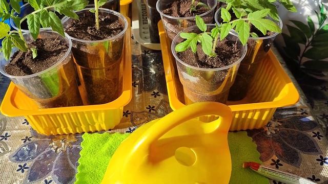 Как поживает 