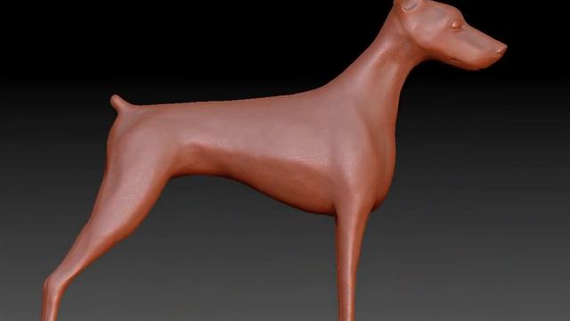 Zbrush Doberman Sculpt смотреть онлайн