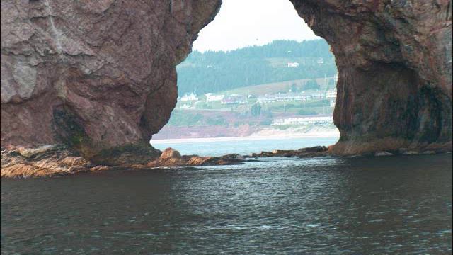 Accordion Le Reel des Accordionistes смотреть онлайн