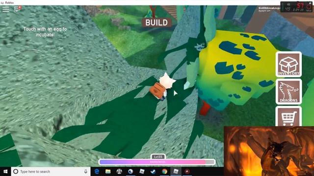 roblox dragon adventures - the differnt types of dragons смотреть онлайн
