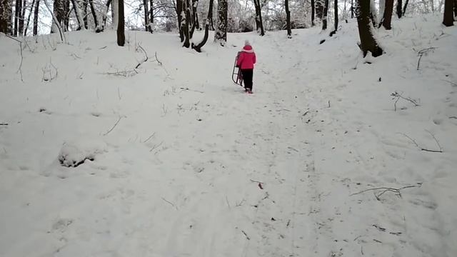 СЛОМАЛА НОГУ В ЛЕСУ НА САНКАХ////ДЕТИ в СЕРЕДИНЕ ОЗЕРА НА ЛЬДУ УПАЛИ!!!!! смотреть онлайн