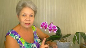 ЦВЕТОНОС у Орхидеи ИЗ ТОЧКИ РОСТА. Что можно ожидать от этой Орхидеи дальше?