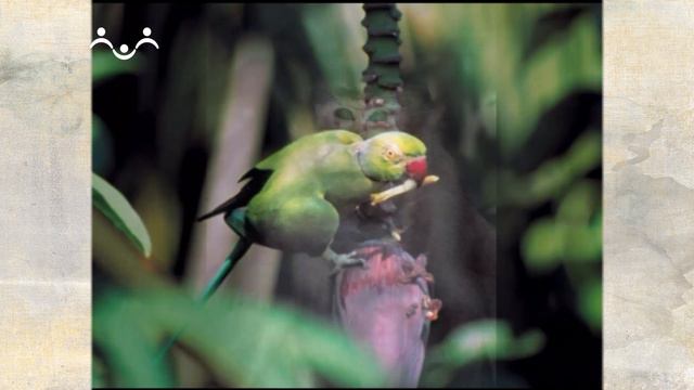 Светопись. Василий Климов