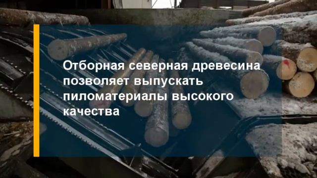 Сыктывкарский лесопильно-деревообрабатывающий комбинат смотреть онлайн