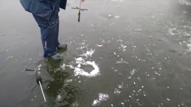 Подборка поимок в течении дня! смотреть онлайн