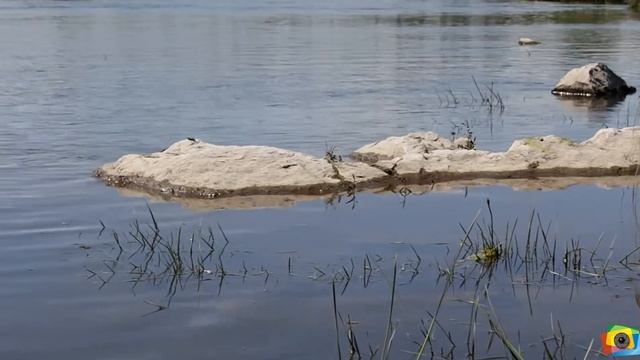 Кенон 60д видео природы смотреть онлайн