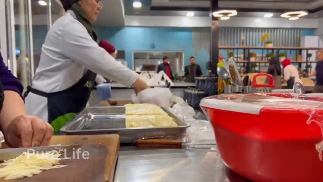 Животные в Зоопарках