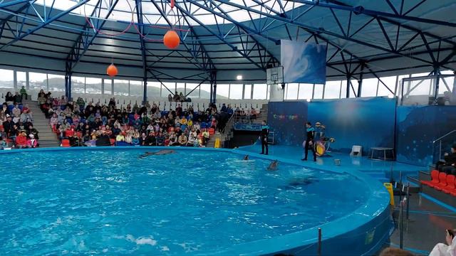 Дельфинарий Сочи Парк 04.23 смотреть онлайн