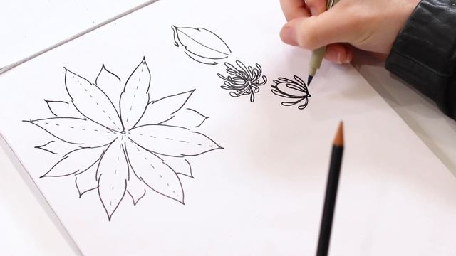 Floral Illustration Alphabet | Drawing the Letter "C" With Clematis Flowers смотреть онлайн